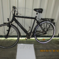 Herrenrad (Green’s)