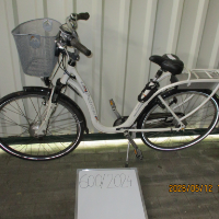 Damenrad (Pointer)