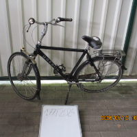 Herrenrad (Gazelle)