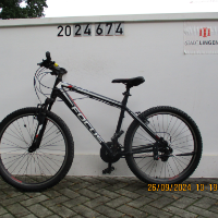 Mountain-Bike (Focus)