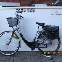 E-Bike Damen (Sonstige)