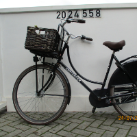 Damenrad (Amsterdam)