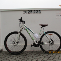 Mountain-Bike (Bulls)