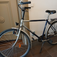 Herrenrad (Excelsior)