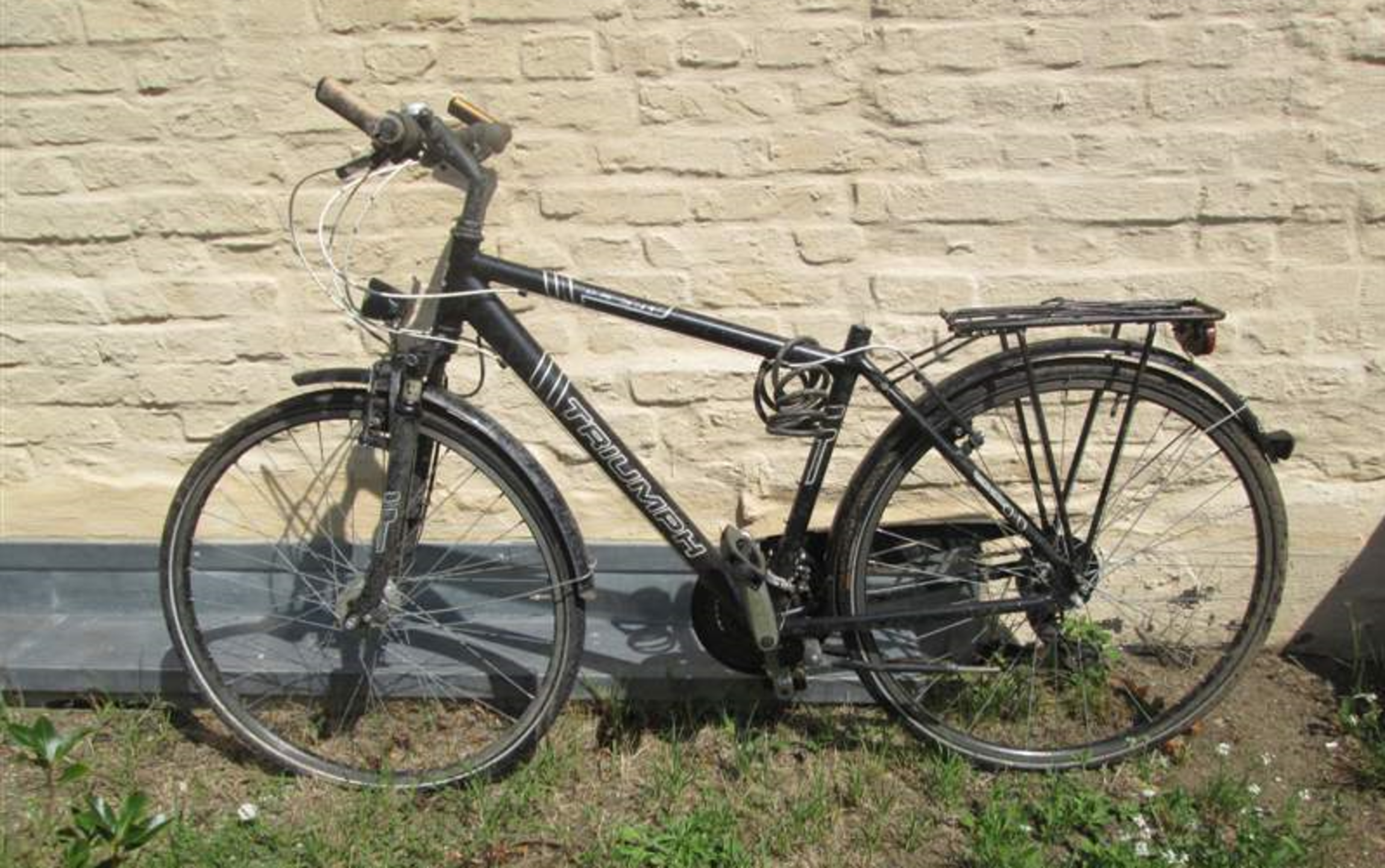 Herrenrad (Triumph)