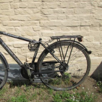 Herrenrad (Triumph)