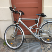Trekkingrad (Trekking)
