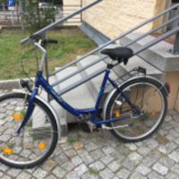Damenrad (Sonstige)