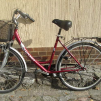 Damenrad (Pegasus)