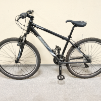 Mountain-Bike (Serious)