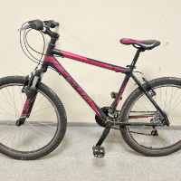 Mountain-Bike
