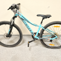 Mountain-Bike (Scott)