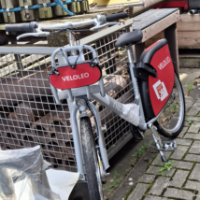 E-Bike Unisex (Sonstige)