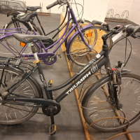 Damenrad (Triumph)