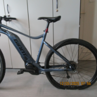 E-Bike Herren (Giant)