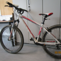 Mountain-Bike (Bulls)