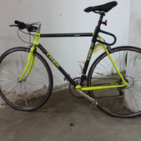 Herrenrad (Trek)